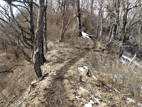 20160218hike (476)